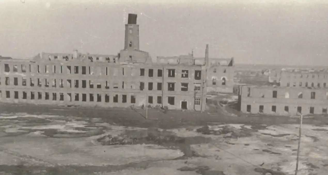 Вид площадки будущего завода